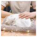 Sleeping Cute Cat for Car Dashboard and Home Decor with Activated Carbon